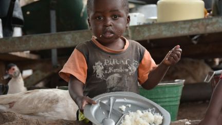Lifesaving Meals—$50