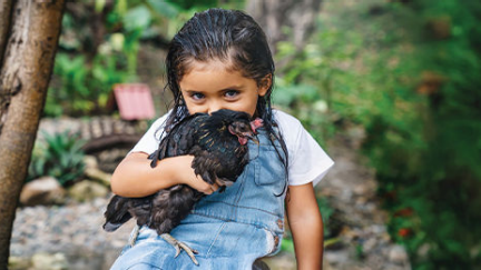 Chickens — Starting at $20