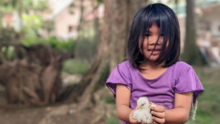 Chickens — Starting at $20