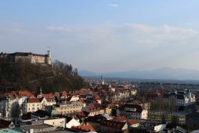 Give Profile Photo: Jay Herman - 0859389